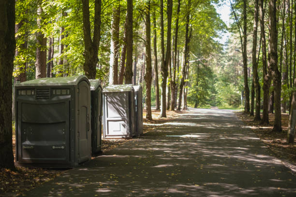 Best Affordable portable toilet rental  in Mount Ida, AR